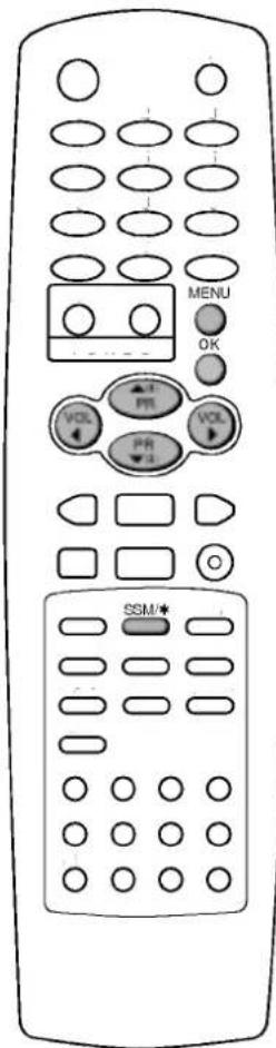 LG RT-21FB55RQ - SSM (память состояния звука) - 1
