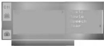 LG RT-21FA72X - SSM (память состояния звука) - 1