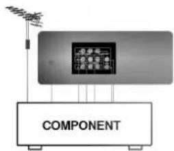 LG RT-21FA72X - Входные гнезда компонентного сигнала (не во всех моделях) - 1