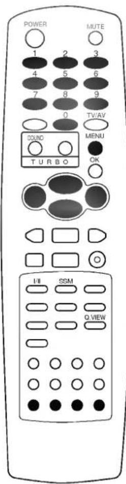 LG RT-21CA55M - Настройка на телевизионные станции - 2