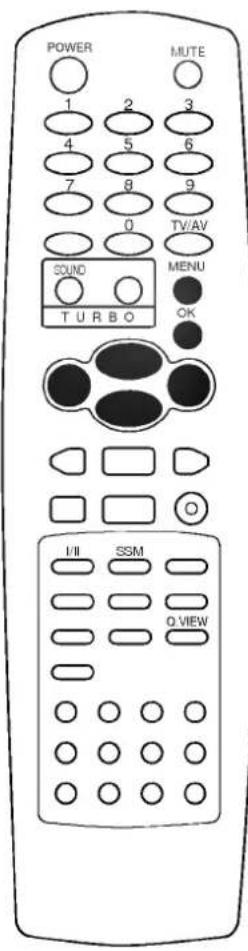 LG RT-21CA55M - Экранные меню - 1