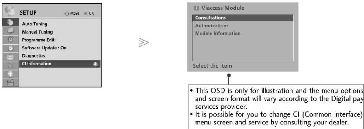 LG 37LH3020 - CI [COMMON INTERFACE] INFORMATION - 1