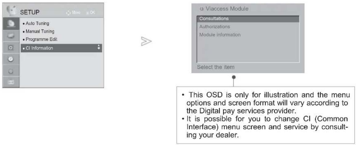 LG 22LD355 - CI [COMMON INTERFACE] INFORMATION - 1