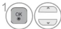 LG 22LD355 - TO USE A USB DEVICE - 2
