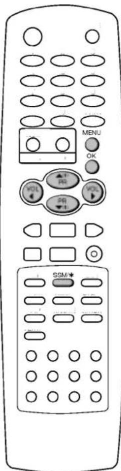 LG 21FX5RB - SSM (память состояния звука) - 6