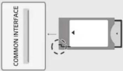 LG OLED77C1RLA - Холболт - 7
