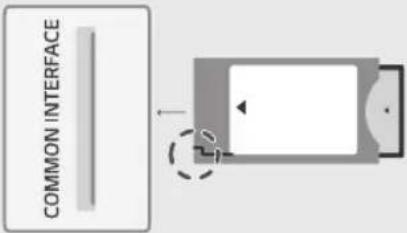 LG OLED77C1RLA - Подключения - 7