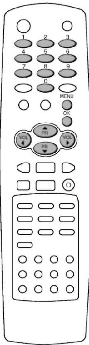 LG RT-29FB55RX - Ручная настройка на станции - 4