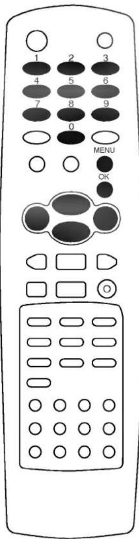 LG RT-25FB75VQ - Ручная настройка на станции - 4