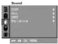 LG RT-14CA57M - SSM (память состояния звука) - 5