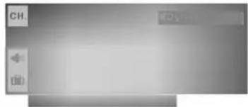 LG CE-21M66KEX - PSM (память состояния изображения) - 1