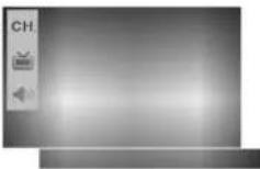 LG CE-21M66KEX - Другие функции - 1