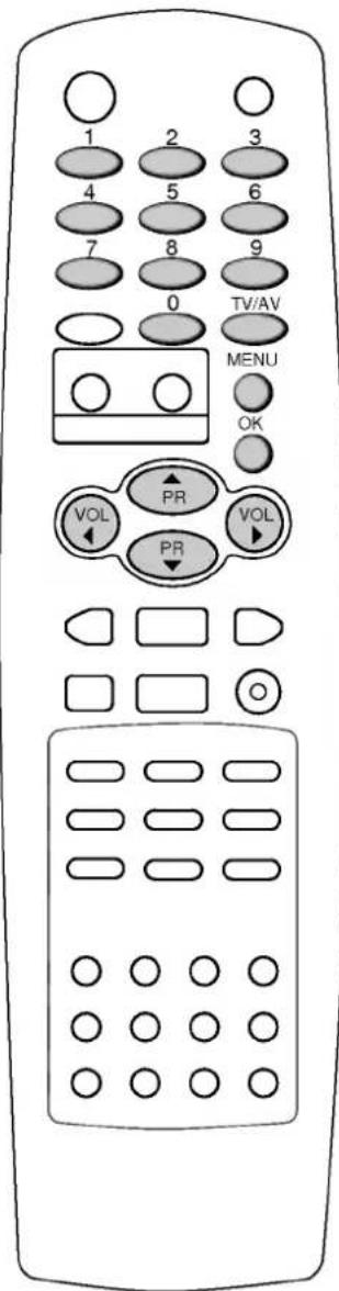 LG 29FX6RNB - Электронный замок от детей - 2