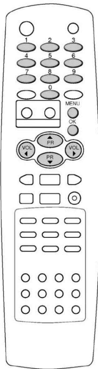 LG 29FX6RNB - Другие функции - 2