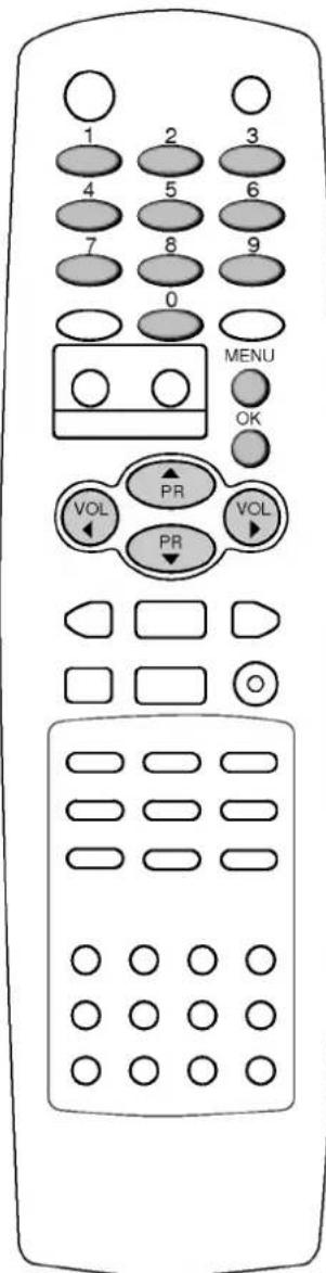LG 29FC1RNB - Точная настройка - 3
