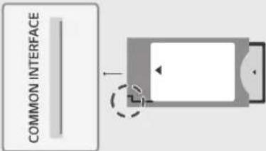 LG OLED55C1RLA - Подключения - 5