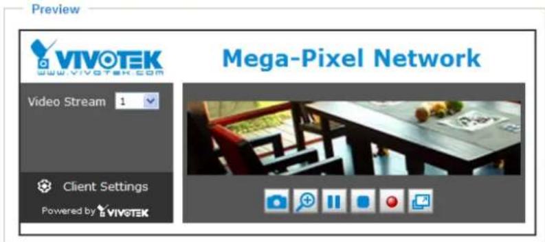 Vivotek IP8331 - Theme Options - 4