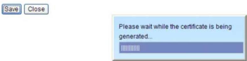 Vivotek IP8331 - Create self-signed certificate manually - 3