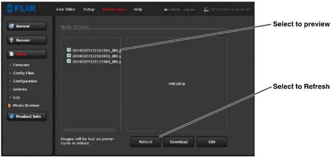 FLIR FC-348 - Files Menu - 3
