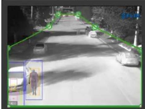 FLIR FC-348 - Web Setup Analytics Properties - 2
