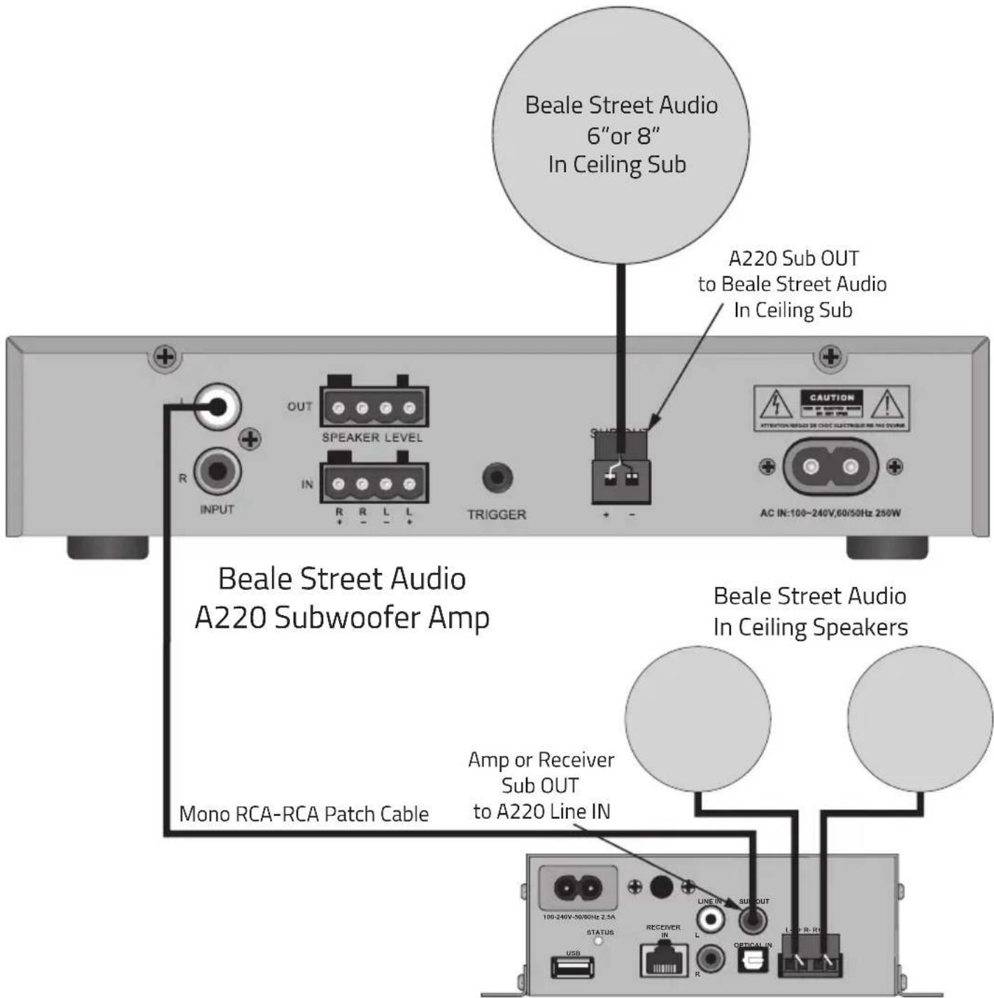 Beale A220 - Connections - 1