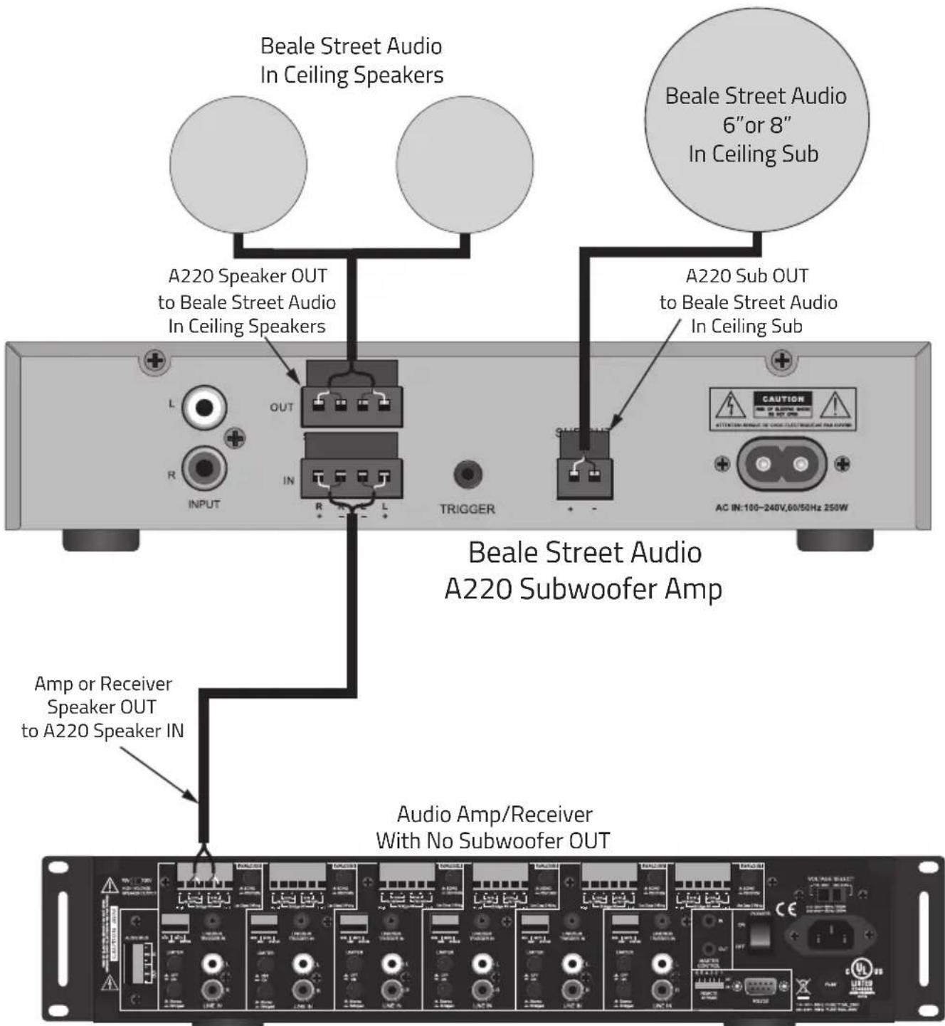 Beale A220 - Connections - 1