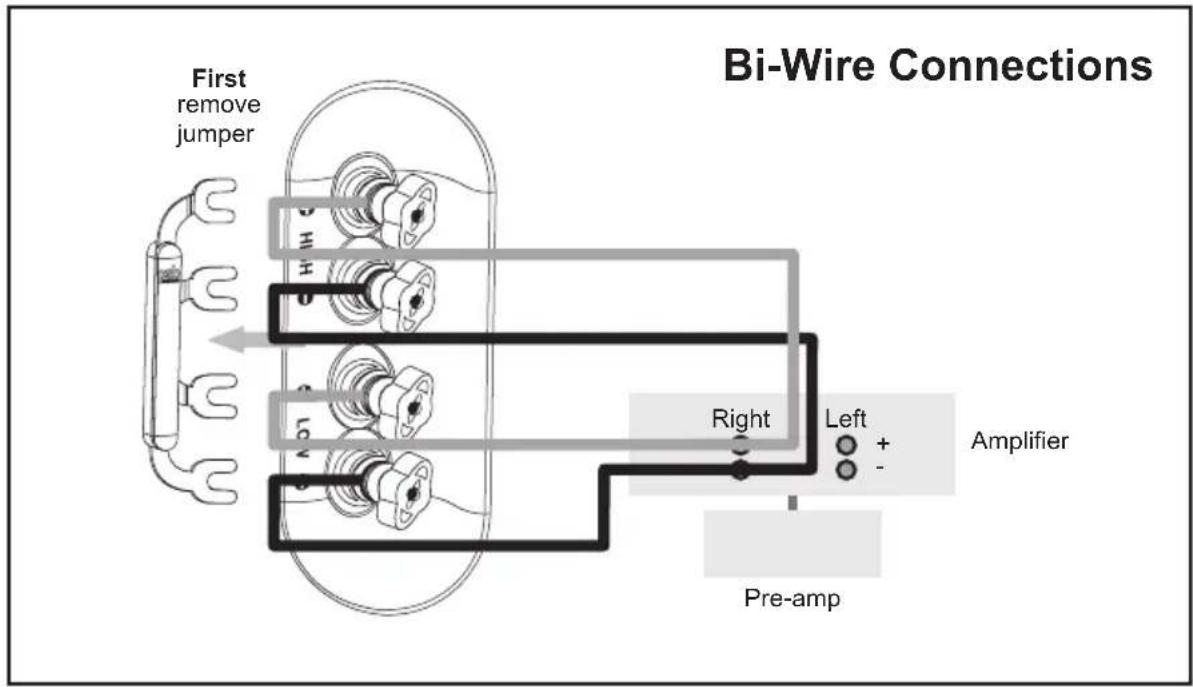 PSB Synchrony One B - Bi-Wiring or Bi-Amping Options - 1