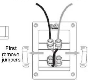 PSB Synchrony One B - Speaker Connection Options (For Synchrony S Surrounds) - 9