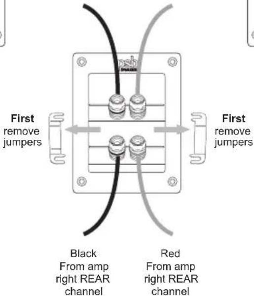 PSB Synchrony One B - Speaker Connection Options (For Synchrony S Surrounds) - 16