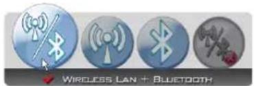 Wireless LAN + BLUETOOTH