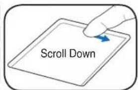 Scroll Down