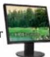 ASUS Lamborghini VX2 - □ Display (Monitor) Output - 1