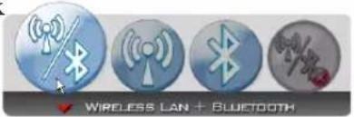 Wireless LAN + BLUETOOTH