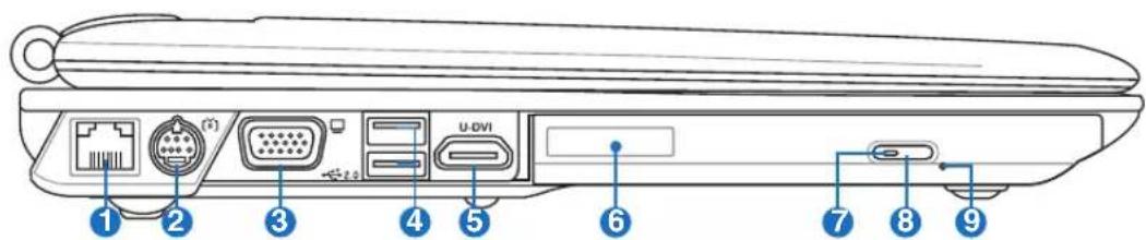 Diagram of a device rear panel with labeled ports and connectors, showing internal components like U-DVI and network interfaces.