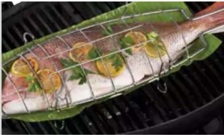 Ziegler & Brown Twin Grill - Lemon Dill Snapper - 1