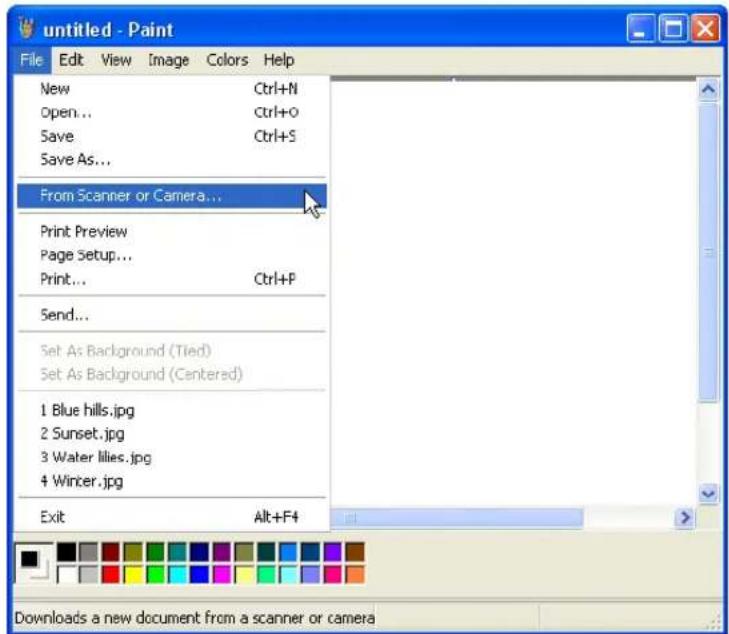 Visioneer Strobe XP 450 - From the File menu choose From Scanner or Camera. - 1