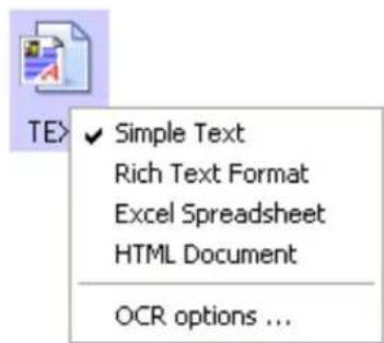 Visioneer Strobe XP 450 - To select a file type for the text format: - 1