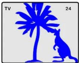 Proview HV147 - Watching your LCD TV - 2