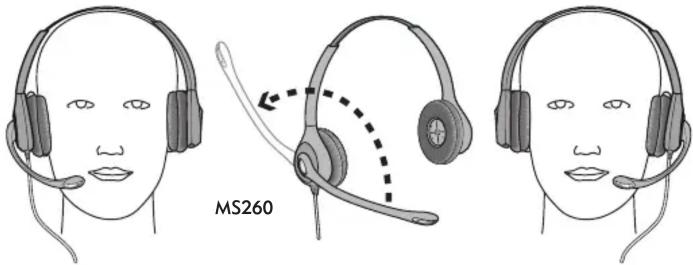 MS260