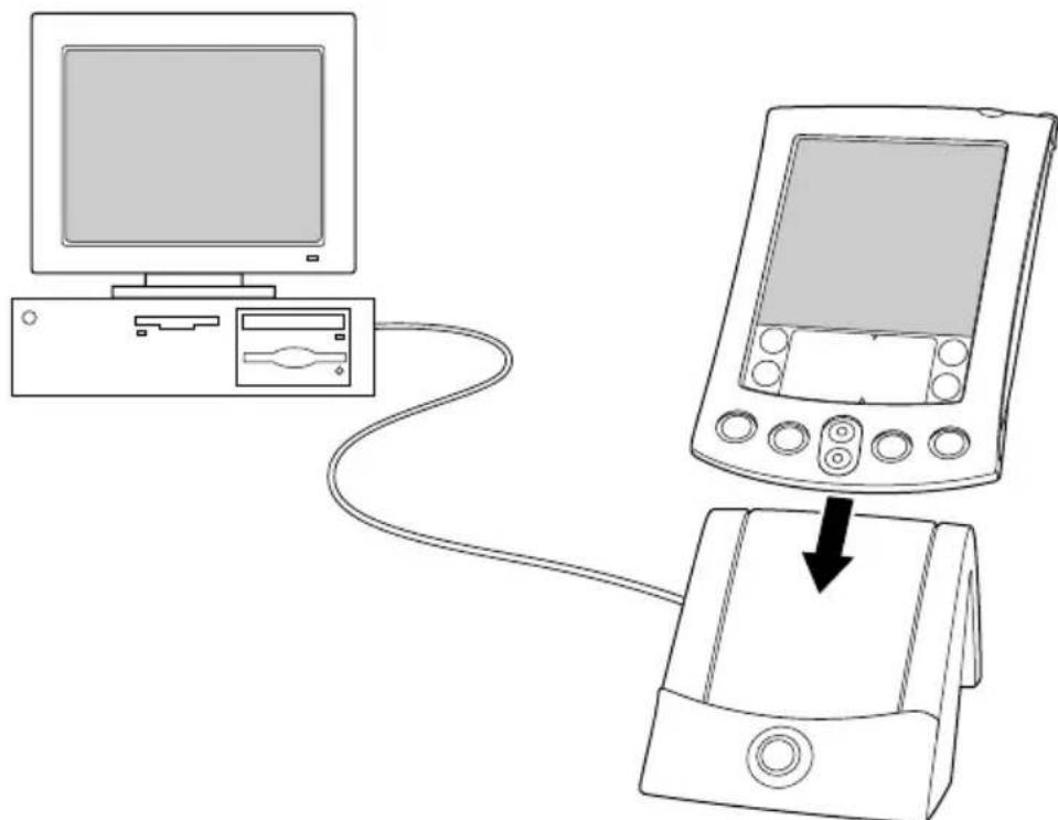PALM P80805ML1 - Installing Palm Desktop software on a Windows computer - 1