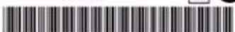 Perle IOLAN SDS1 - IOLAN SDS1 W - 4