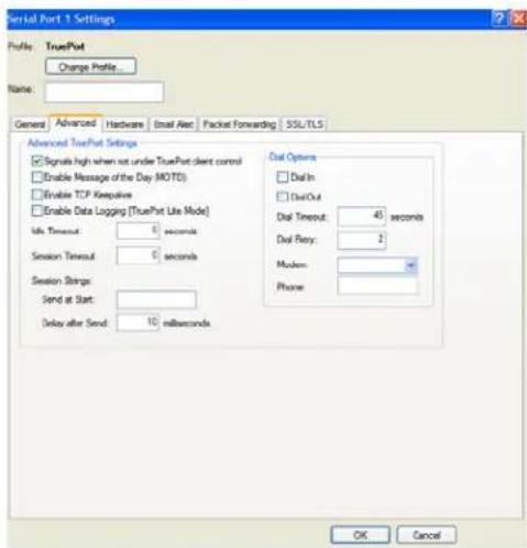 Perle IOLAN STS24 - Advanced Tab Field Descriptions - 1