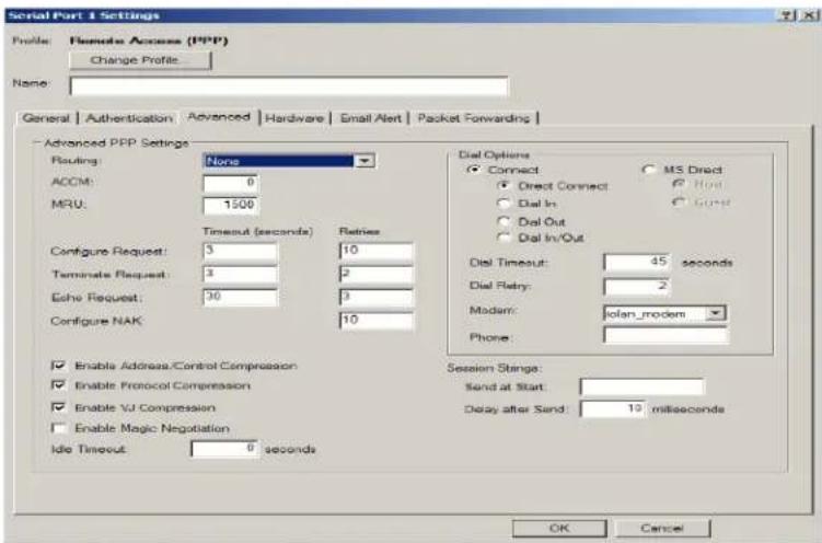 Perle IOLAN STS24 - Advanced Tab Field Descriptions - 1