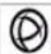 Perle IOLAN STS24 - ATEX Directive Information: (ONLY APPLIES TO THE IOLAN SDS4 HL MODEL!) - 2