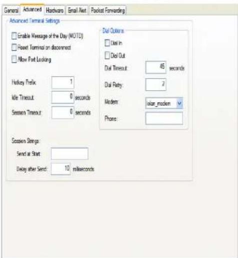 Perle IOLAN STS24 - Advanced Tab Field Descriptions - 1