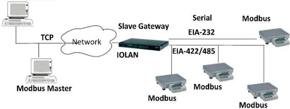 Perle IOLAN SCG50 - Modbus Slave Gateway - 1
