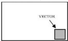 VECTOR