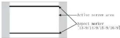 Active screen area Aspect marker [13:9/14:9/15:9/16:9]