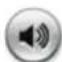 EverFocus NeVio EHN1320 - Audio - 1