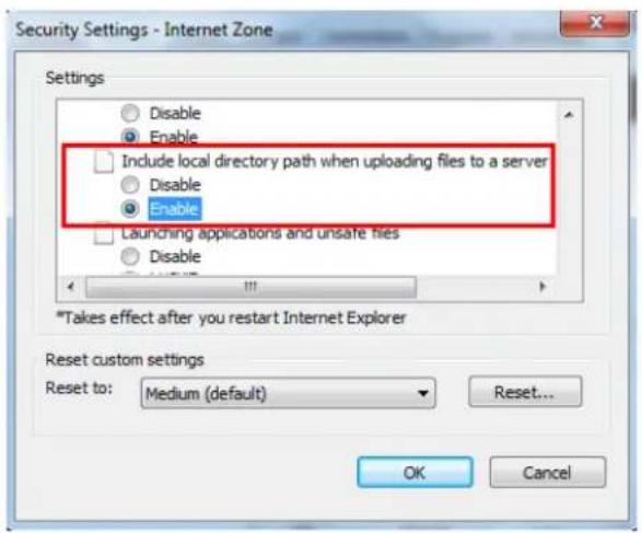 EverFocus NeVio EHN1320 - Settings for Microsoft Internet Explorer - 4